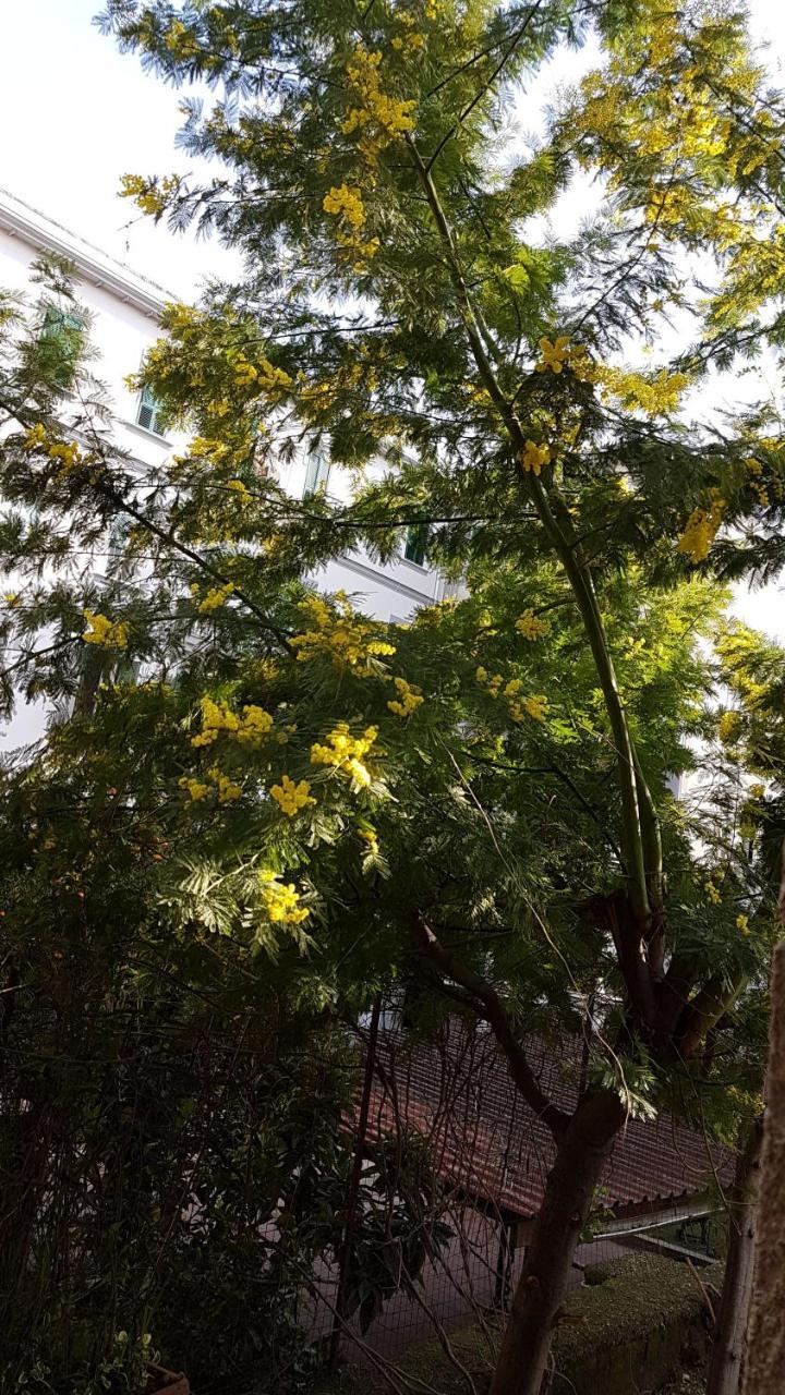 مبيت وإفطار نابولي Il Giardino Di Vico Neve المظهر الخارجي الصورة