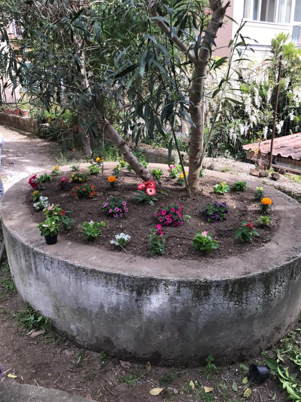 مبيت وإفطار نابولي Il Giardino Di Vico Neve المظهر الخارجي الصورة